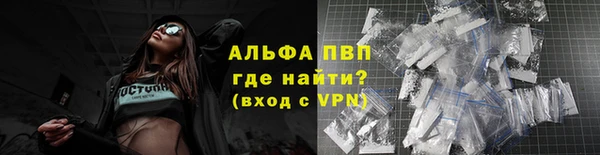 стаф Арсеньев