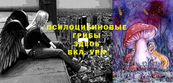 круглые Армянск