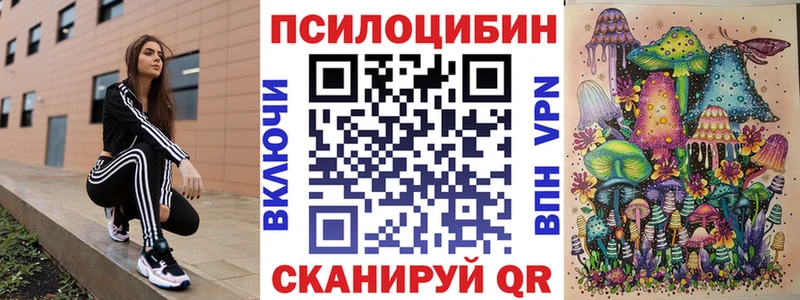 мориарти состав Белая Холуница Псилоцибиновые грибы Psilocybe kraken ссылки